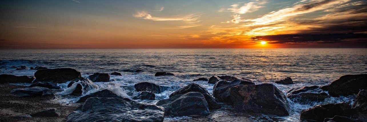 Plato’s pocket fluff. banner