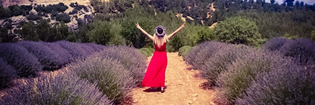 Damla5101's profile banner image