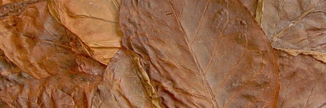 TAACigars's profile banner image