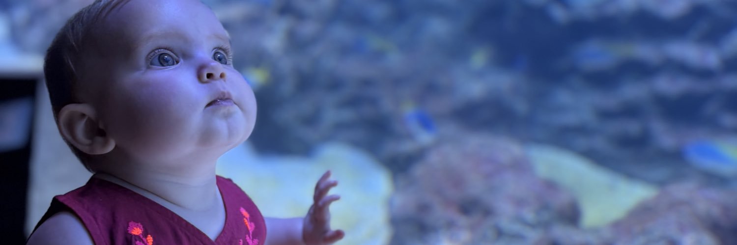 lowrijthomas's profile banner image