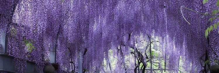 chrisylia's profile banner image