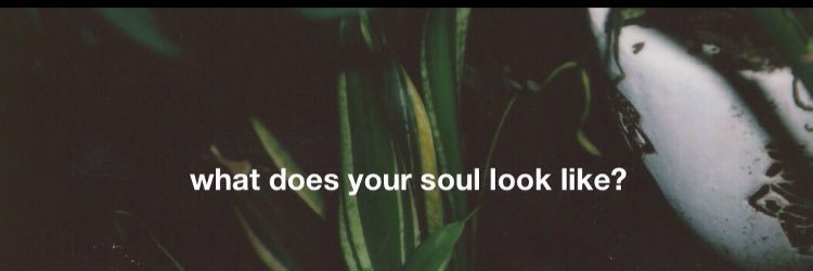 StephaniMarini's profile banner image