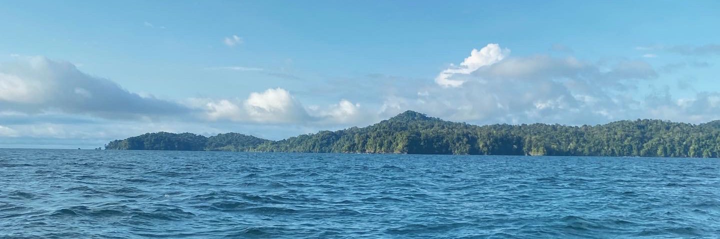 JulimorenoC's profile banner image