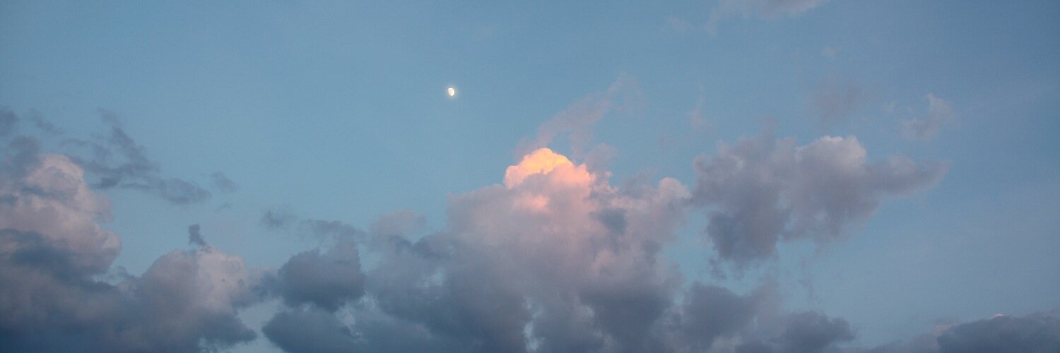 Hulin Adeline banner