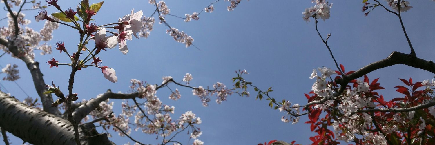 okoh0719's profile banner image
