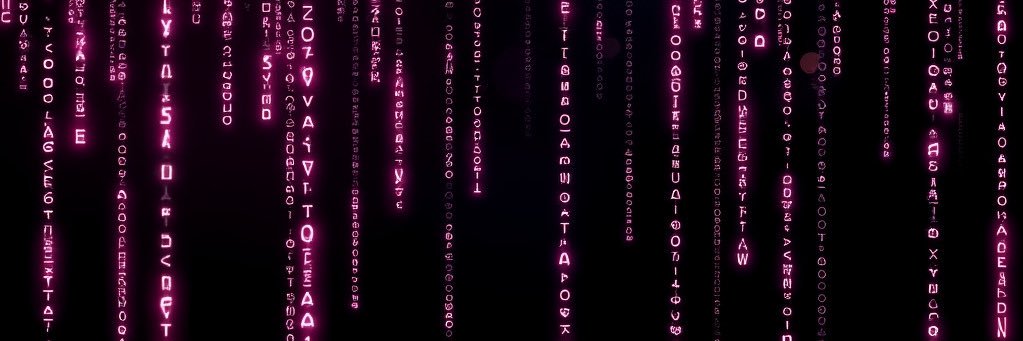 Rolanda McSchmuggin banner