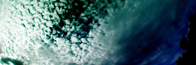 amy_lou's profile banner image