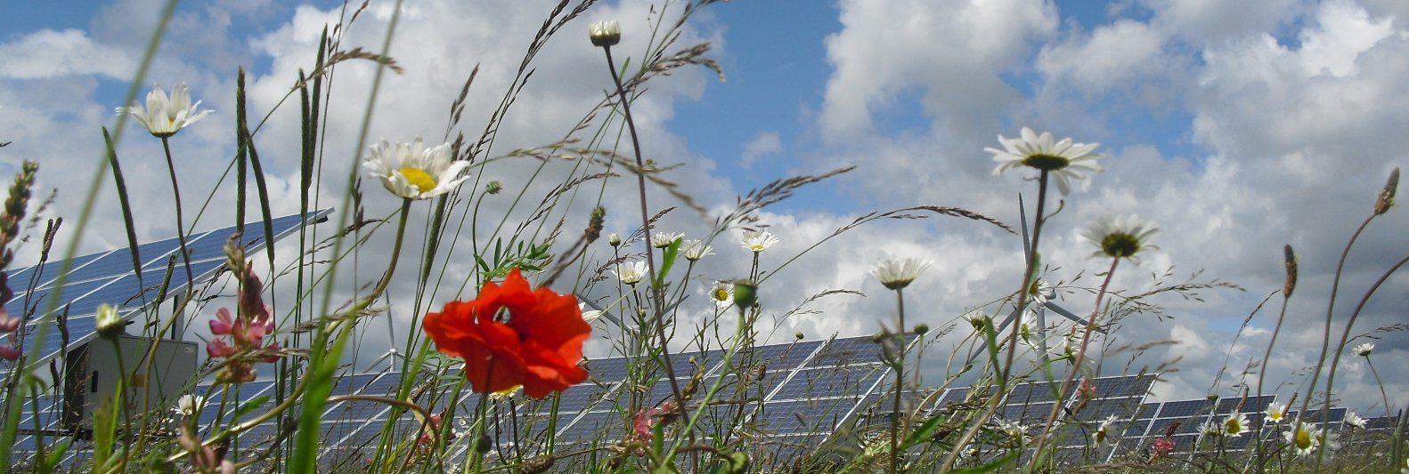 Westmill Solar Coop banner