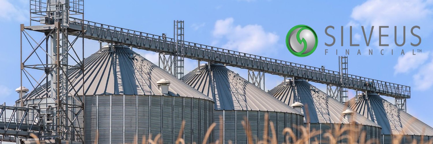 SilveusFin's profile banner image
