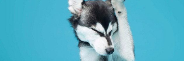 hbrank's profile banner image