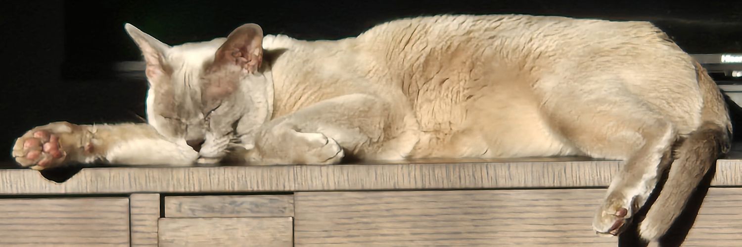 AP_Rawlinson's profile banner image