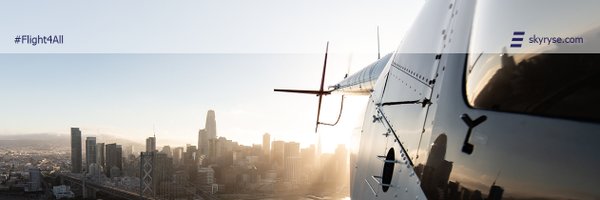 flyskyryse Profile Banner