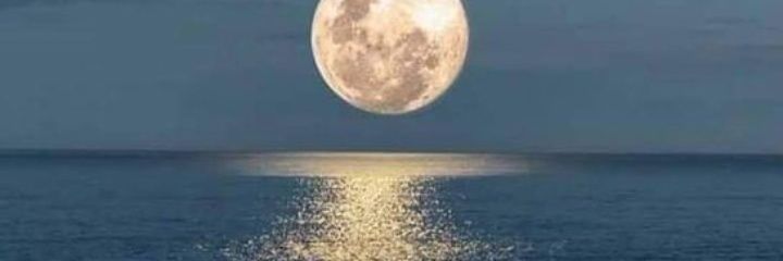 نوف الخالدي banner