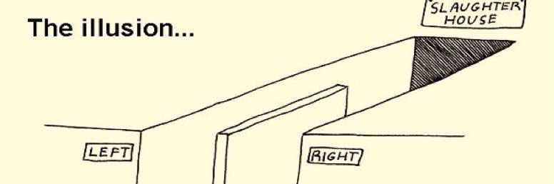 Mm banner