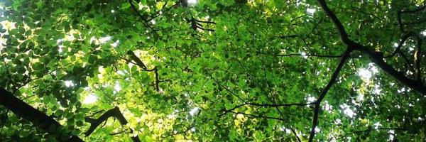 RSKLandscape Profile Banner