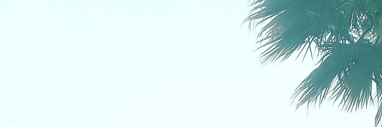 Javi Gutiérrez Peri banner