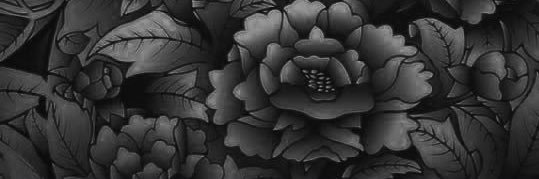 seethemusicKG's profile banner image