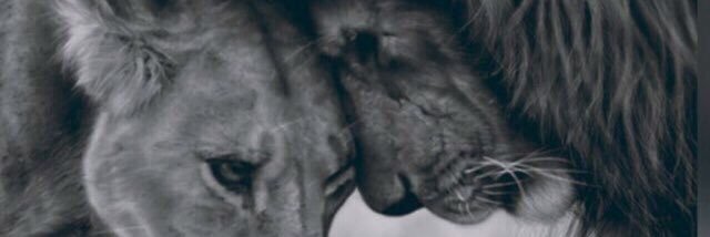 kentonstott's profile banner image