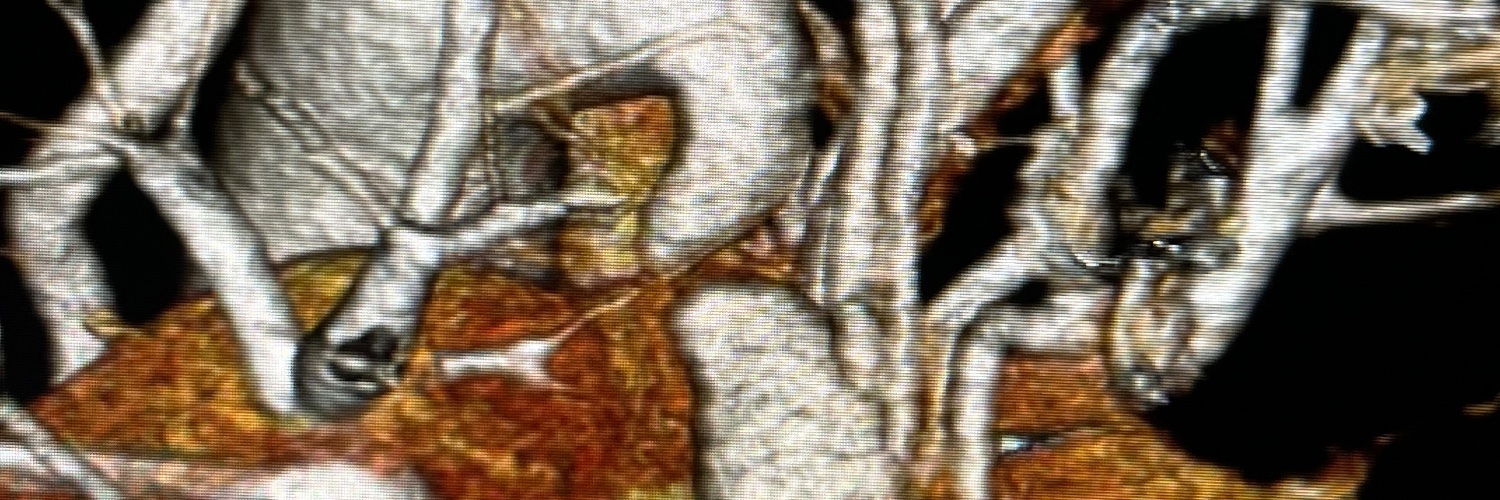 helmsALee's profile banner image