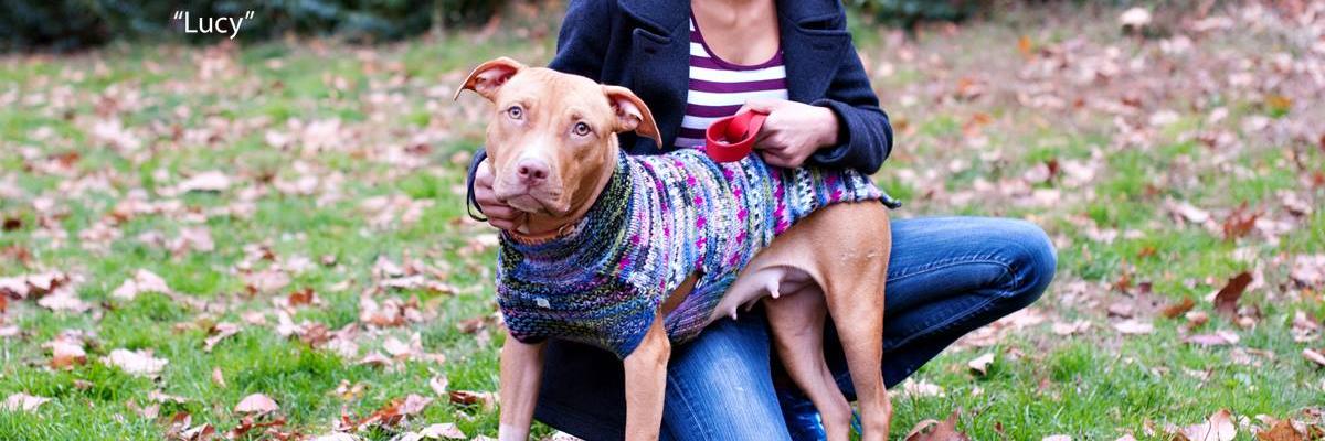 BullyProjectNYC's profile banner image