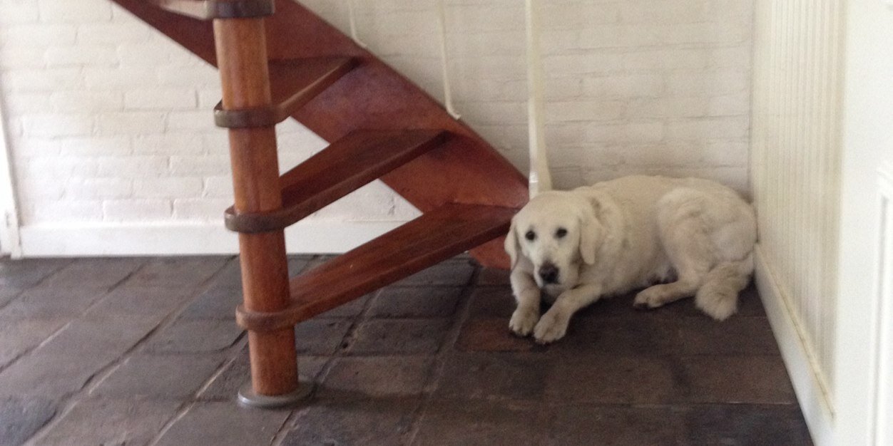 Kim_Biermanx's profile banner image