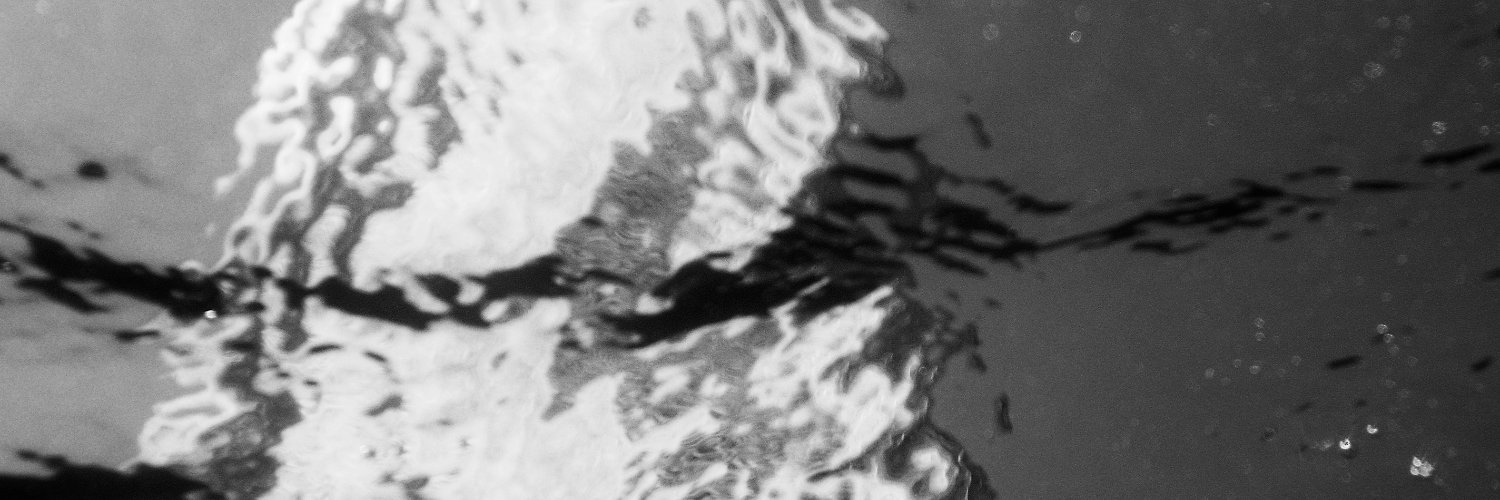 Oleksandr Naselenko banner