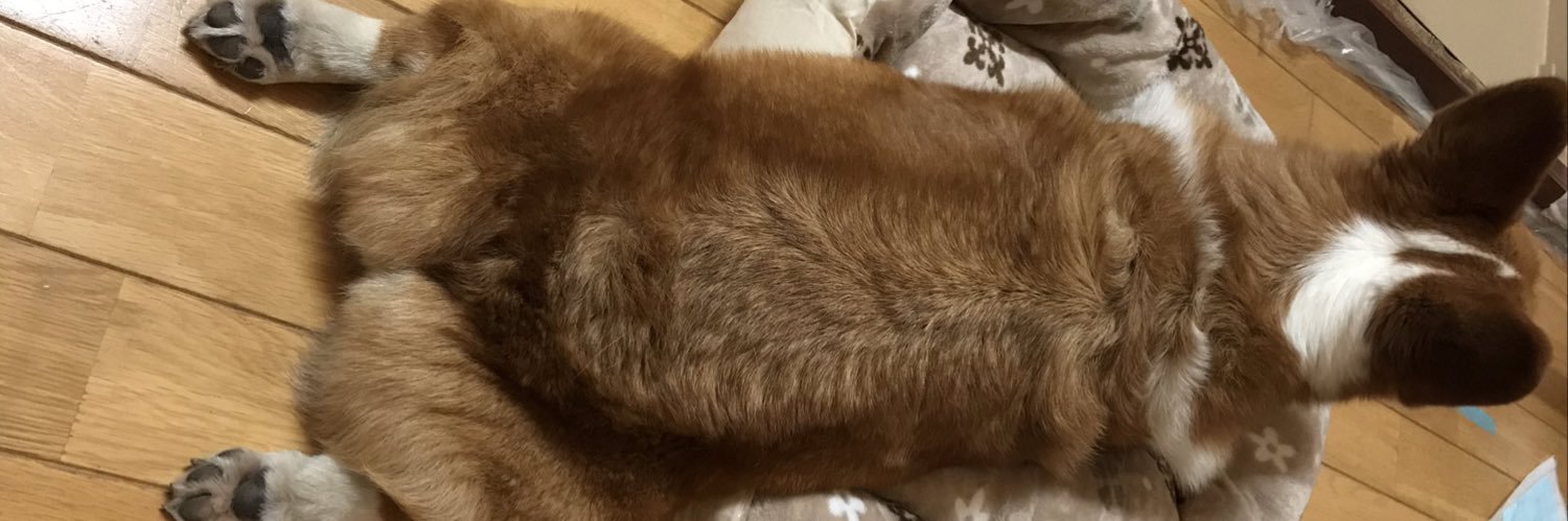 1213Dai's profile banner image