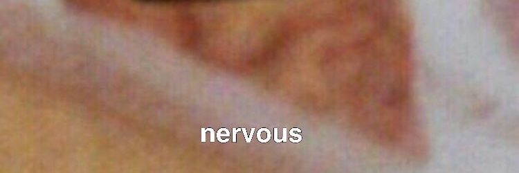 hcamouflaged's profile banner image