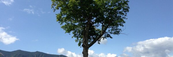 fionalfc10 Profile Banner