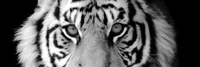 mbh5553's profile banner image