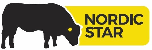 NordicStarTags's profile banner image
