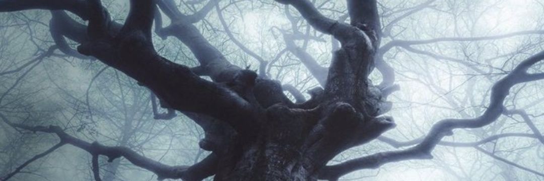 m_drone's profile banner image