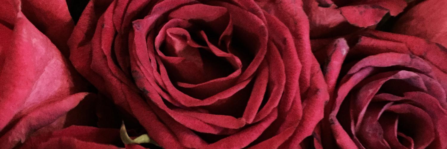 SMOORH66's profile banner image