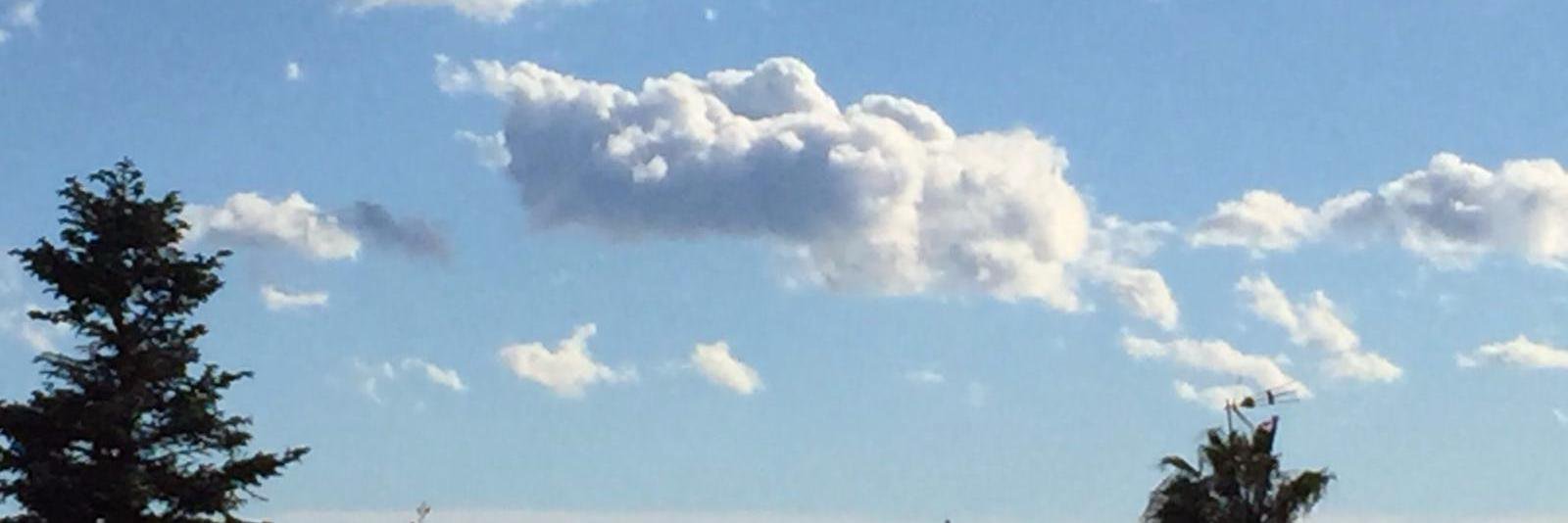 🎗️MeteoAdM banner