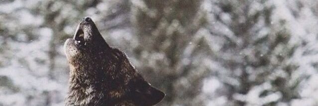 KevinFeldz's profile banner image
