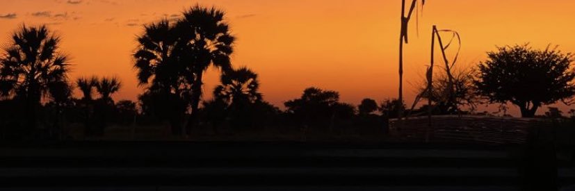 dolly_vincent's profile banner image