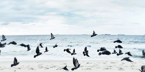 _Tyaaaaa's profile banner image