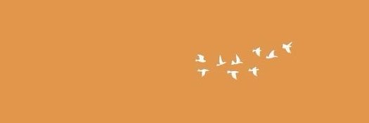 shams77_'s profile banner image