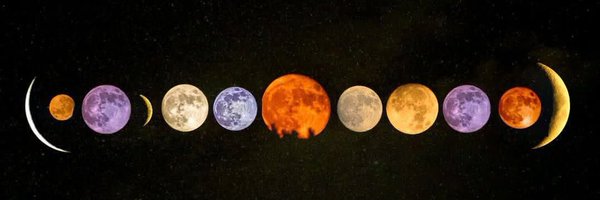 Katie9569 Profile Banner