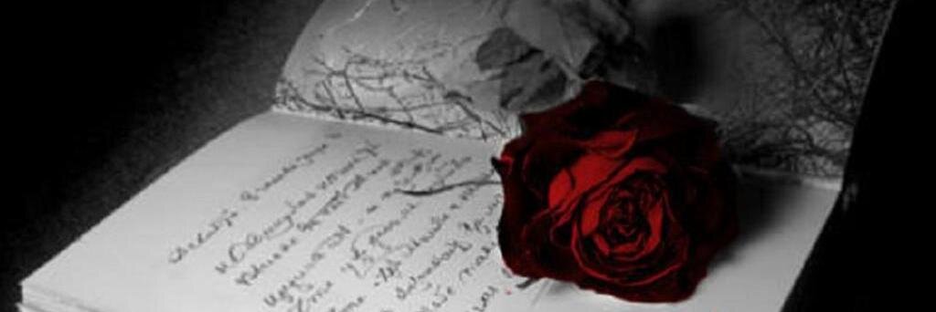 VampLovingDork's profile banner image
