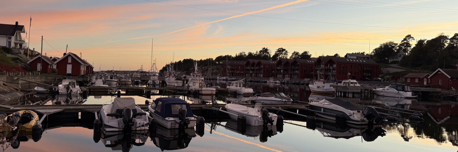 Nicolay T Solberg banner