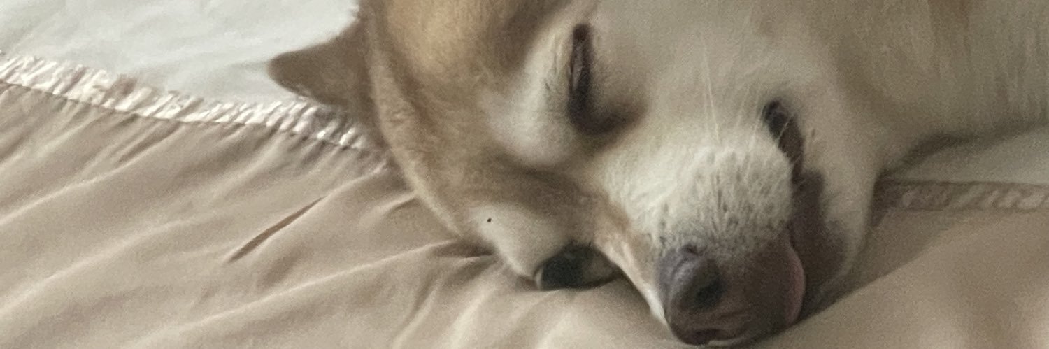 RicelyHysa's profile banner image