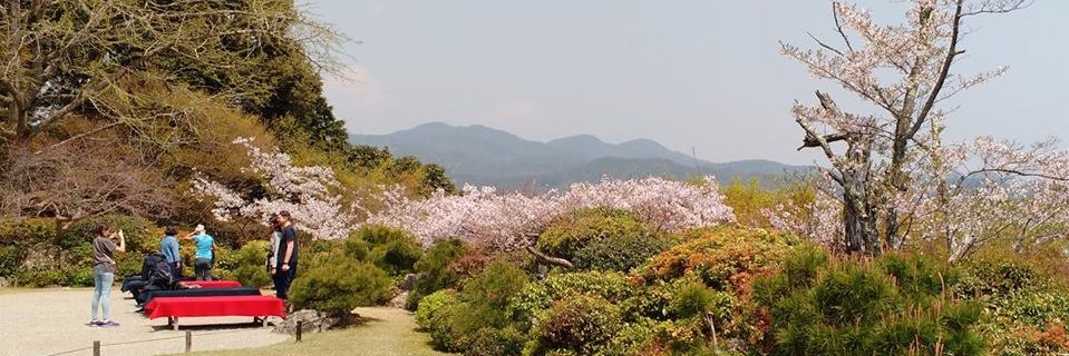 jjwinch's profile banner image