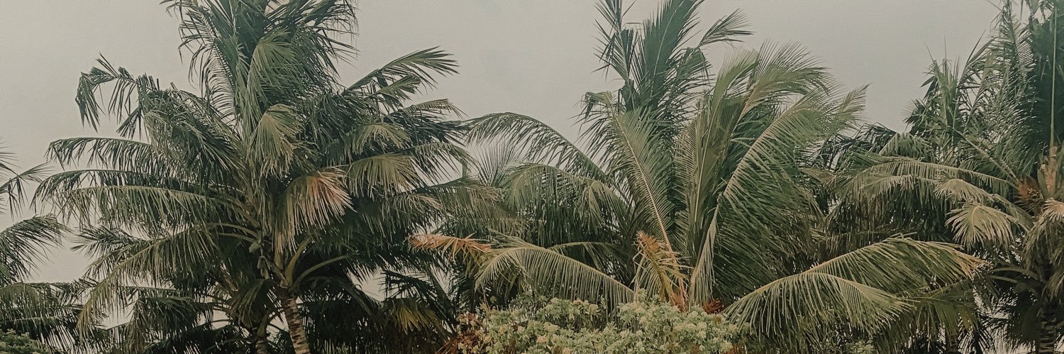 leighsanches's profile banner image