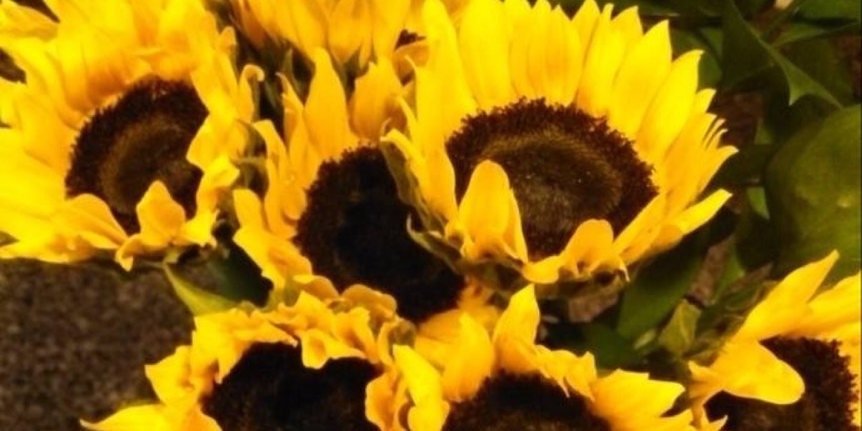 TraceyP1111's profile banner image