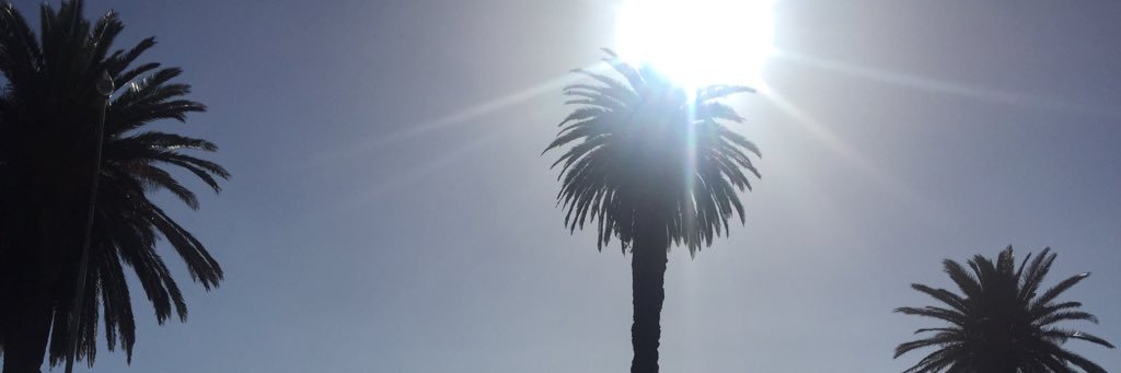 sineadevans99's profile banner image