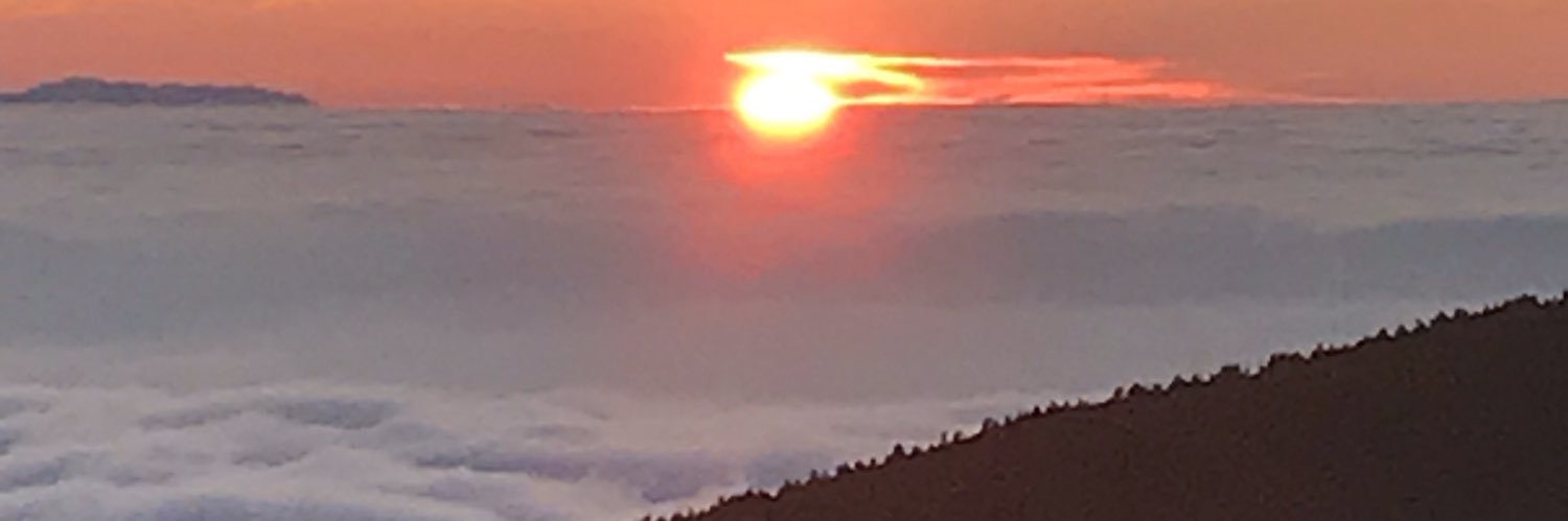 ルロヒト@ふらふら banner