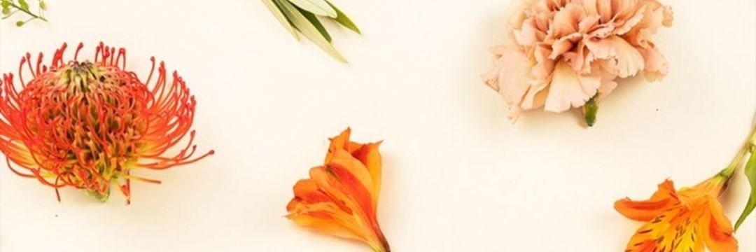 vdbazan_'s profile banner image