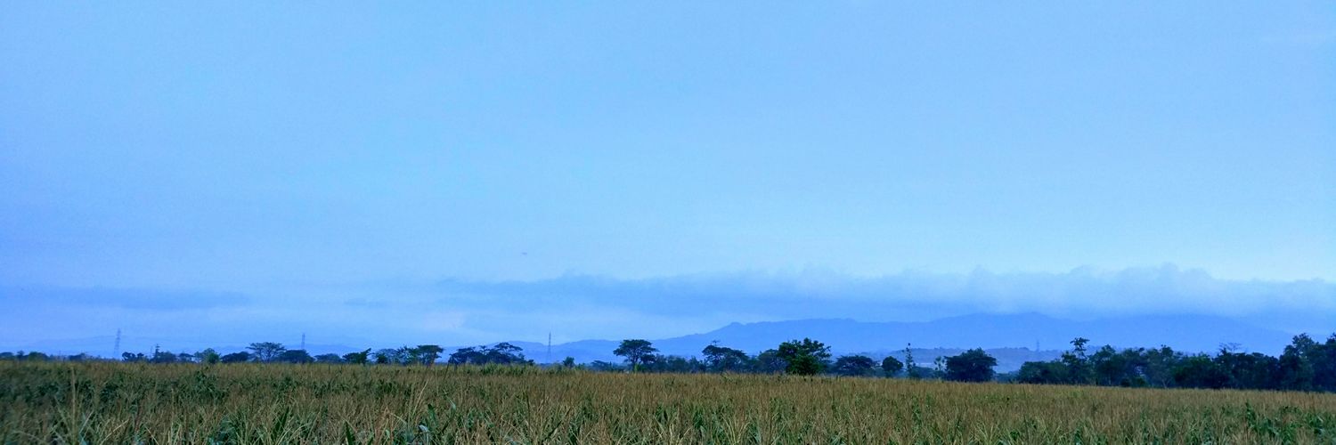 rinawanabadi's profile banner image