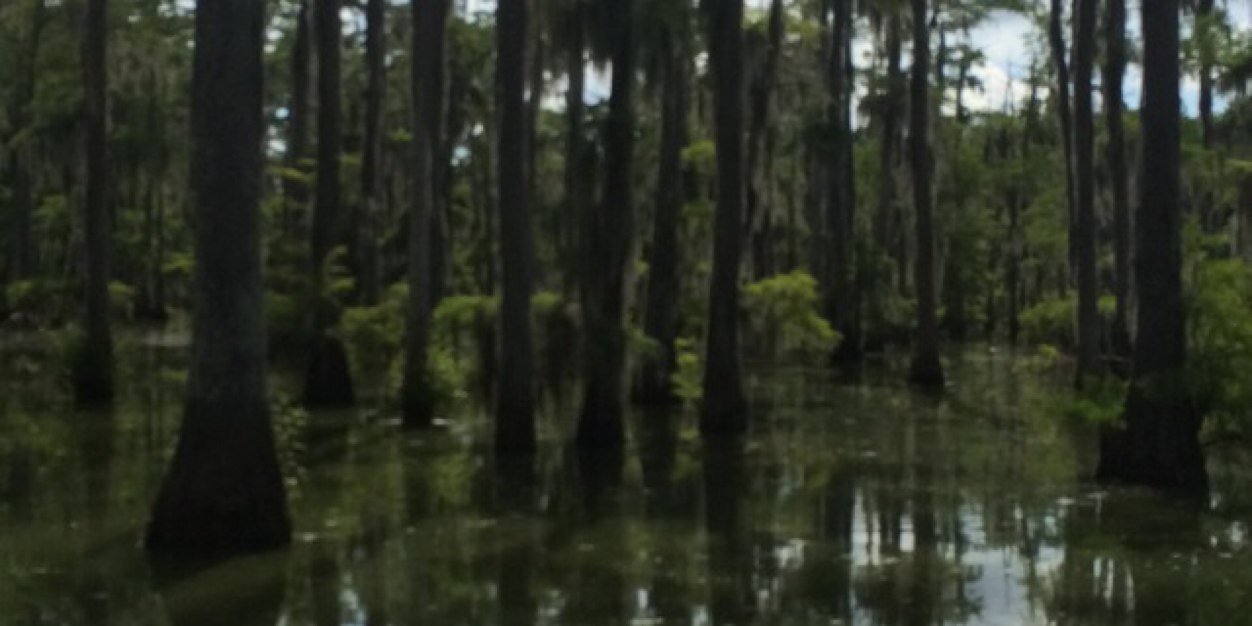 HupHunter's profile banner image